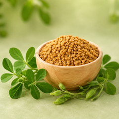 Fenugreek